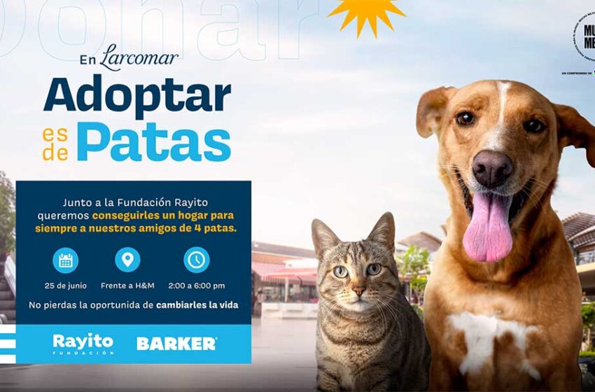  Larcomar presenta campaña de adopción este fin de semana junto a la Fundación Rayito