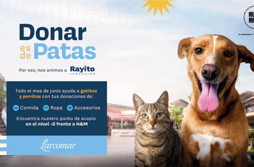  Larcomar y fundación rayito  lanzan campaña en ayuda de más de 100 mascotas sin hogar