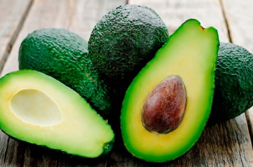  Grandes beneficios de la palta.