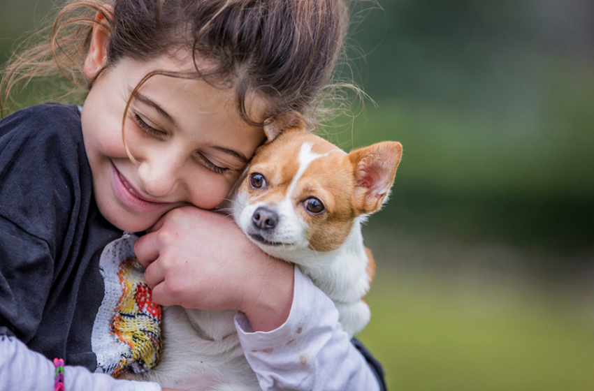  MSD Animal Health y National Geographic presentan serie 12 semanas, basada en historias conmovedoras de mascotas junto a sus responsables.