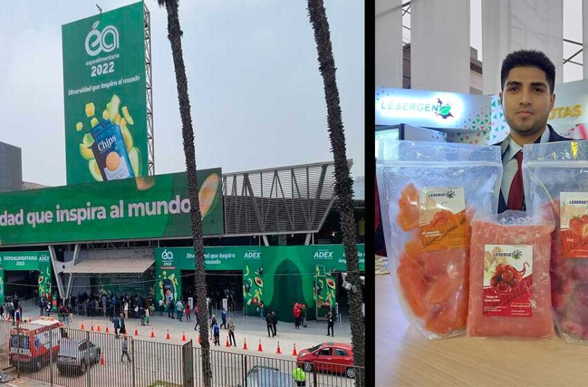  Se incrementa demanda de frutas y hortalizas en el exterior