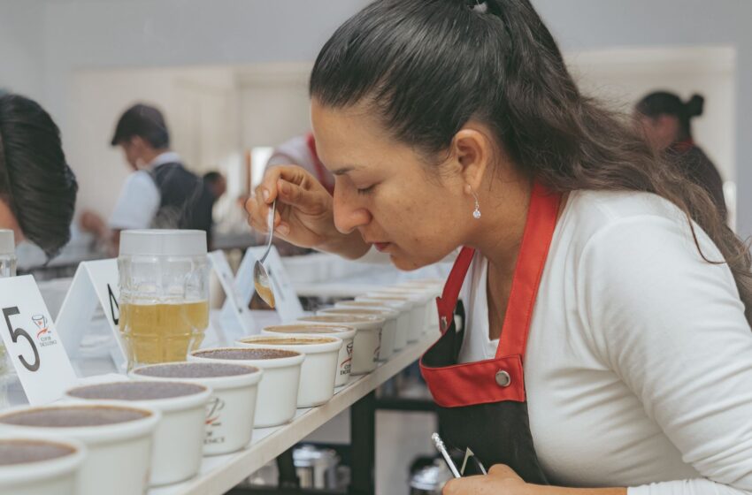  TAZA DE EXCELENCIA PERÚ 2022: 105 cafés compiten por ser el mejor del país