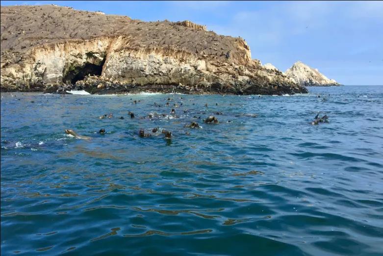  Cinco tours para disfrutar del mar y los primeros rayos del sol