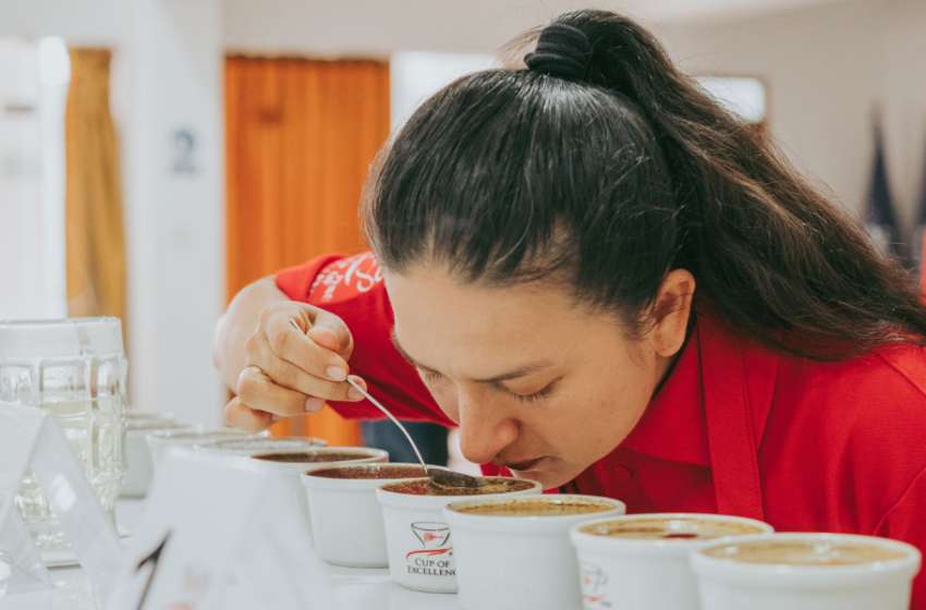  TAZA DE EXCELENCIA PERÚ 2022: 40 cafés de ocho regiones en carrera por ser el mejor café del Perú.