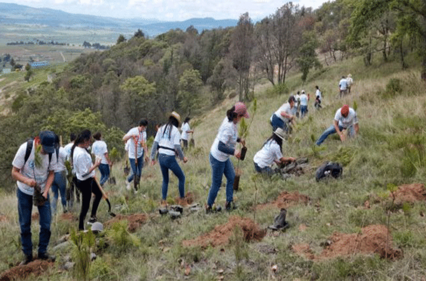  Genomma Lab ha beneficiado a 32 mil personas con acciones de sostenibilidad en 2022