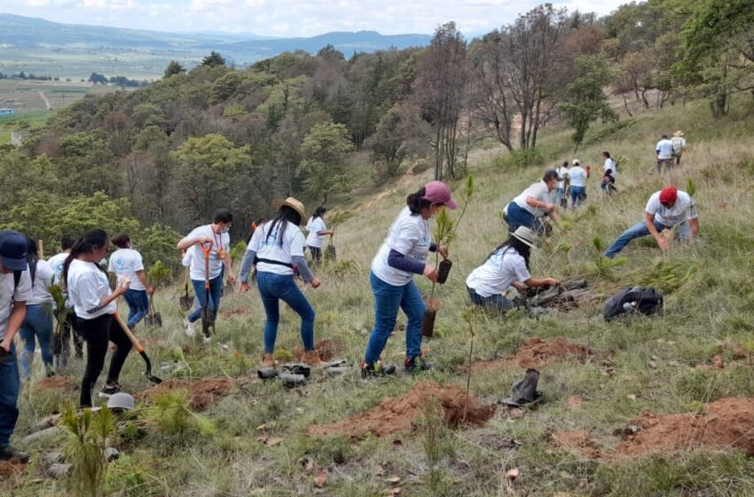  Genomma Lab ha beneficiado a 32 mil personas con acciones de sostenibilidad en 2022