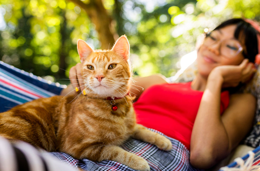  Día Mundial de la Diabetes: cinco consejos para prevenir esta enfermedad en tu mascota 