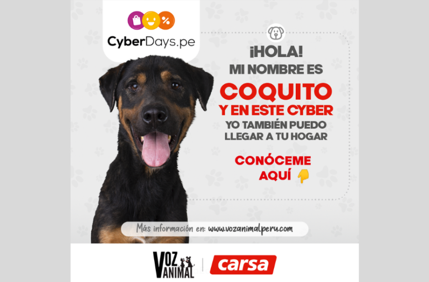  CARSA Y VOZ ANIMAL UNIDOS EN LA PROMOCIÓN DE LA PROTECCIÓN ANIMAL