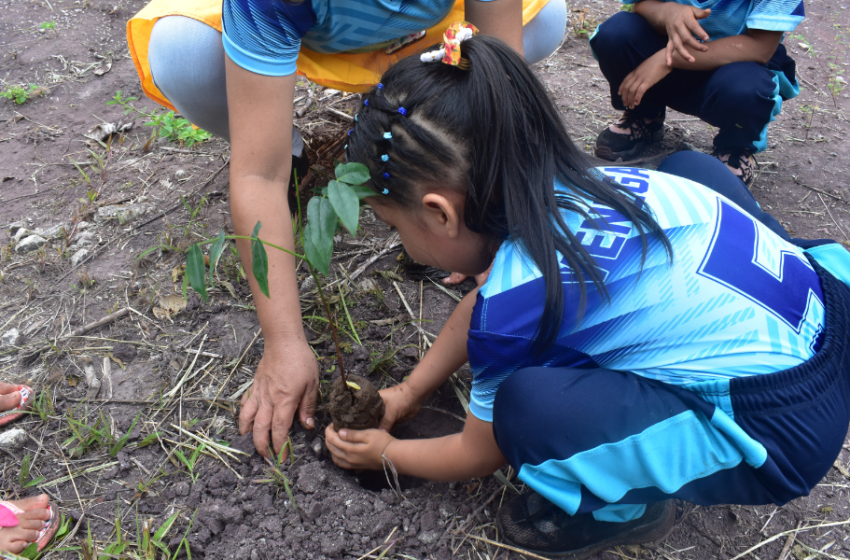  Niños y adolescentes de todo el país exigen su derecho a vivir en un ambiente saludable.