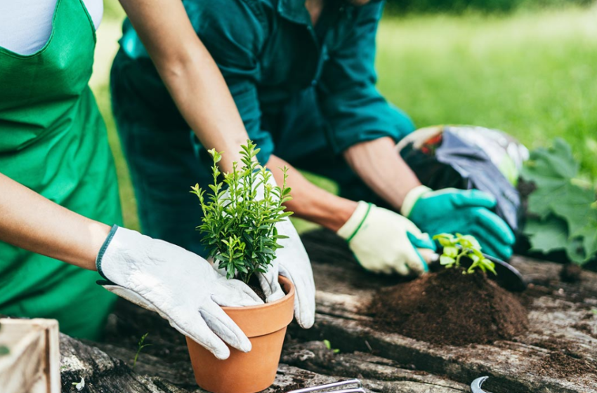  Los mejores regalos para los amantes de la jardinería y agricultura.