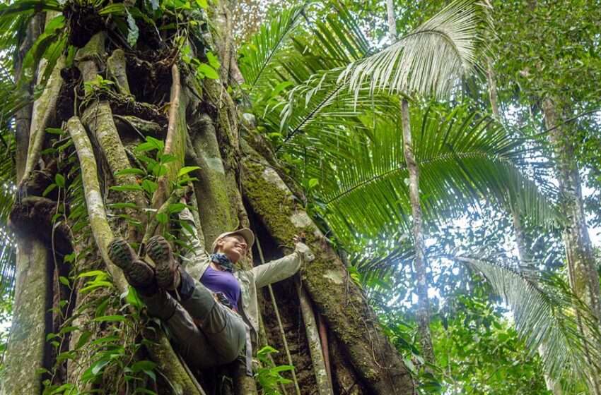  EMPATÍA POR LA VIDA:  LA MADRE TIERRA COMO LA PRINCIPAL MAESTRA