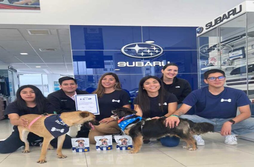  SUBARU seguirá impulsando acciones a favor del cuidado y protección de perros y gatos en estado de abandono