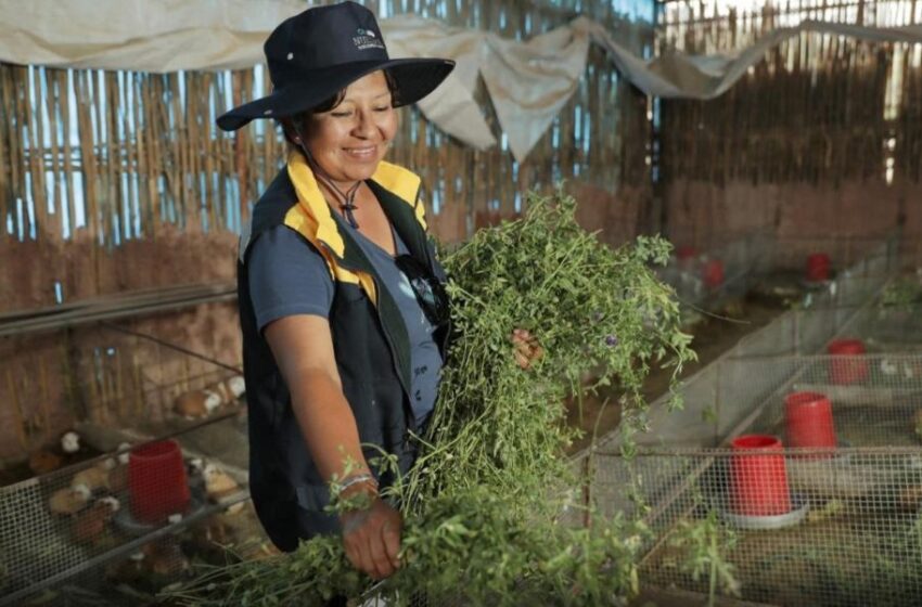  SOUTHERN PERÚ IMPULSA EL LIDERAZGO DE LA MUJER A TRAVÉS DE PROGRAMAS ENFOCADOS EN EMPLEABILIDAD Y DESARROLLO ECONÓMICO 