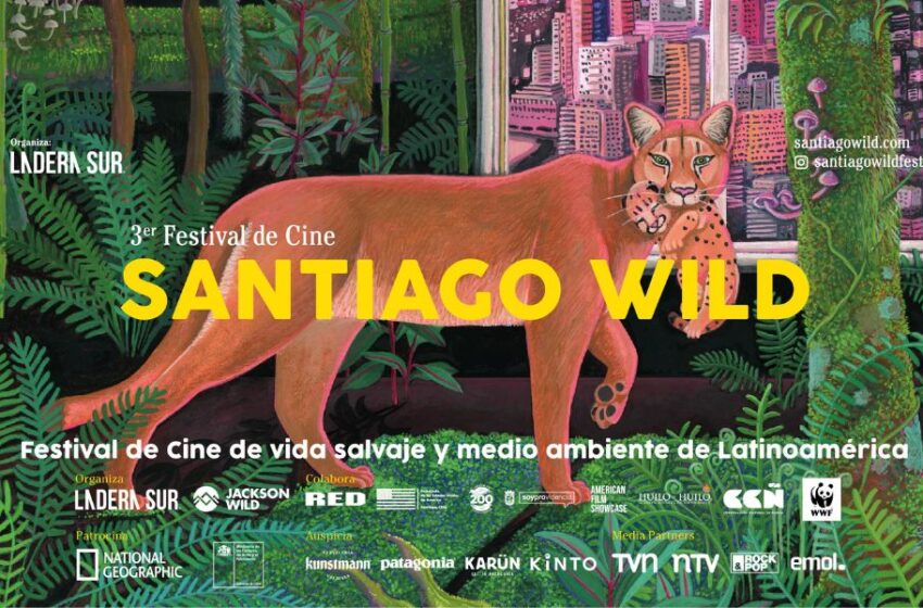  Dos documentales peruanos compiten por el premio del 3er Festival de Cine Santiago Wild 2023