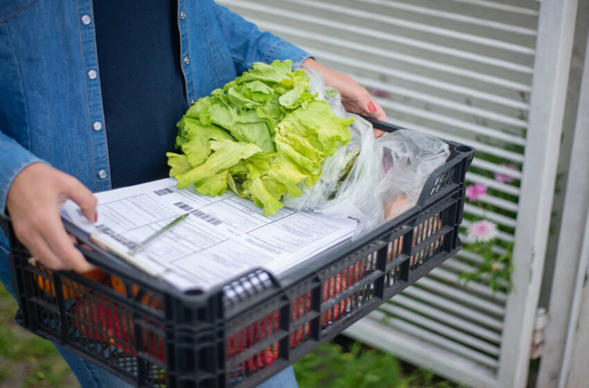  Protege a tu familia dándoles alimentos de calidad y seguros