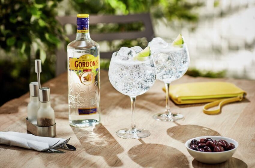  Día internacional del gin & tonic: cuatro gins y un bonus track para continuar celebrando con amigos