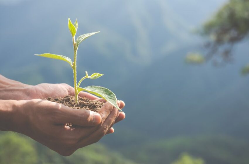  DÍA DE LA TIERRA: 7 ACCIONES SIMPLES QUE PUEDES HACER EN CASA PARA SER MÁS SOSTENIBLE