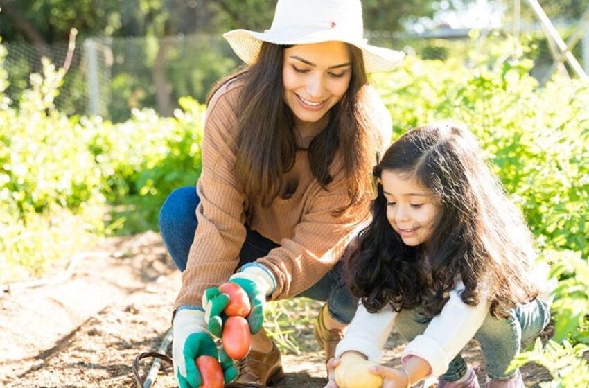  Día de la Tierra: 7 consejos para llevar un estilo de vida más sostenible y seguro