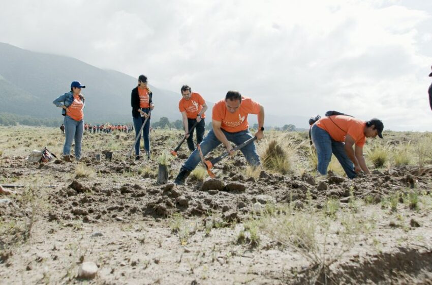  Día de la madre tierra, día de reflexión y acción urgente. El planeta es de todos, cuidarlo es nuestra responsabilidad.