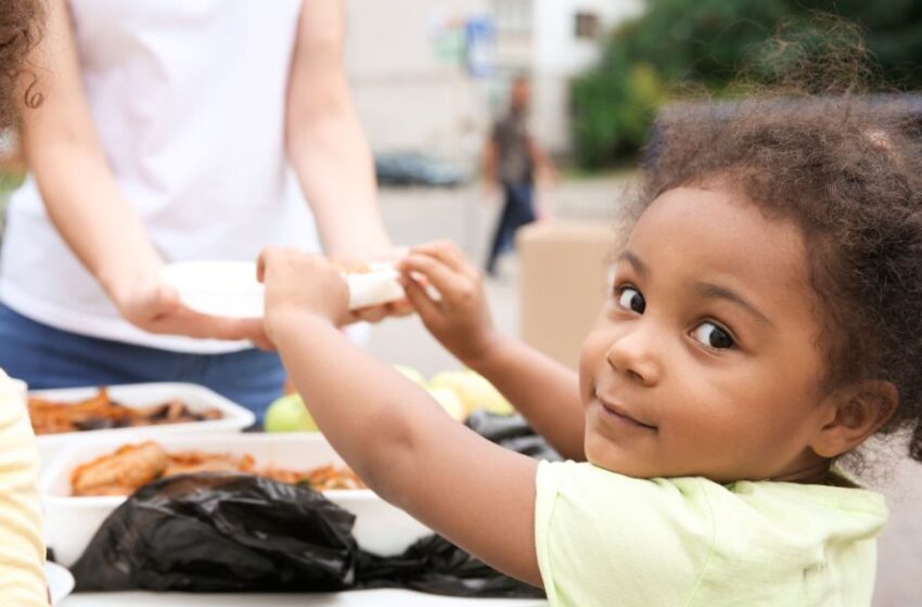  La lucha por la erradicación del hambre en el mundo  