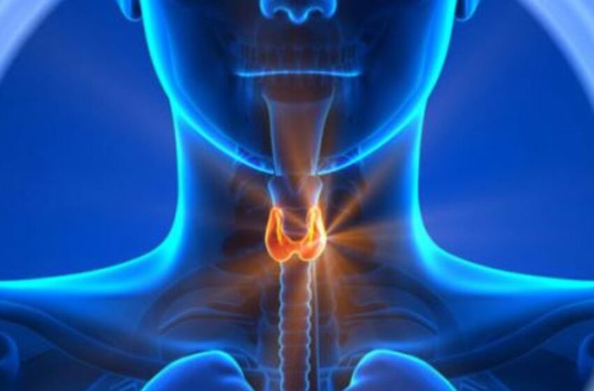 Día Mundial de la Tiroides: 1 de cada 10 peruanos padece algún tipo de trastorno tiroideo