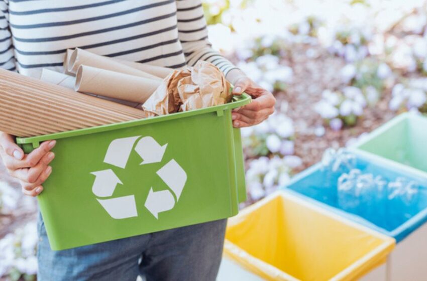  Día Mundial del Reciclaje: consejos para reciclar desde casa y el trabajo 