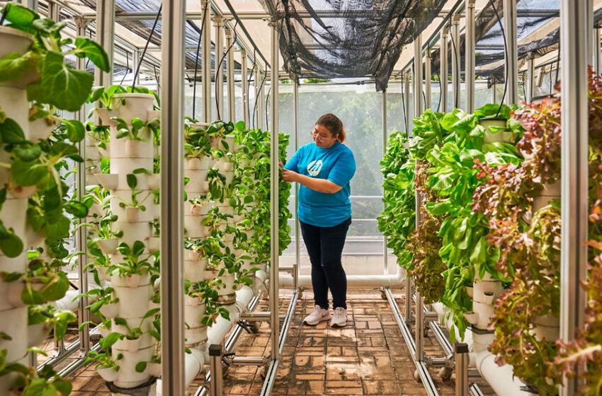  Estudio de HP revela el impacto de la crisis climática en las decisiones de los padres sobre el consumo, la educación de sus hijos, y el tamaño de la familia