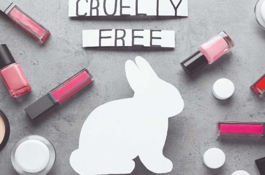  Alternativas libres de crueldad en la industria cosmética