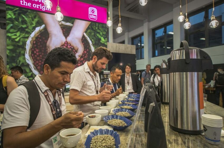  Cafés especiales peruanos destacarán en principal feria especializada europea