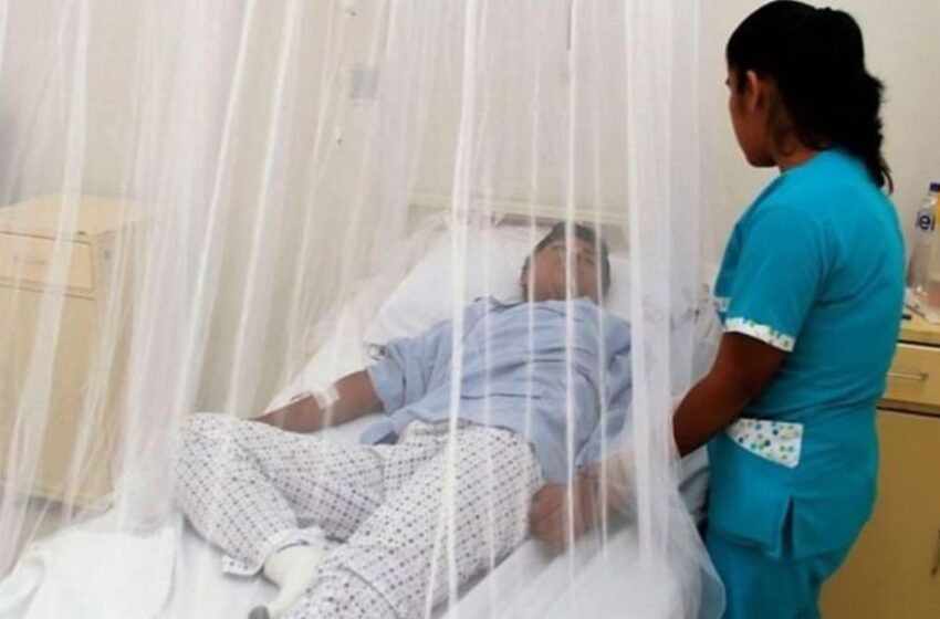  Nuevo fenómeno El Niño incrementaría casos de Dengue