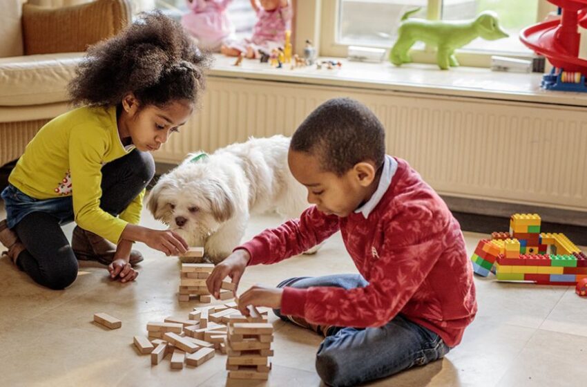  Día Mundial del Perro: cinco cuidados imprescindibles para su bienestar