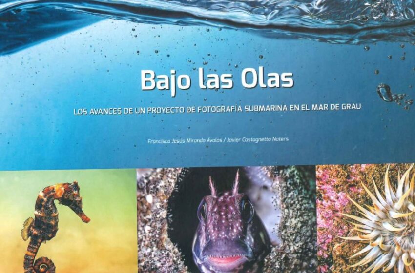  OANNES presenta libro hito con fotografías subacuáticas de la biodiversidad marina del Perú