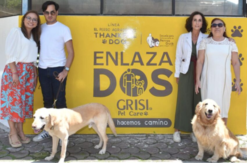  Hoy es el Día Mundial del Perro, y Grisi Pet Care presenta “EnlazaDos, Juntos Hacemos Camino”, campaña para apoyar a perros guía para ciegos 