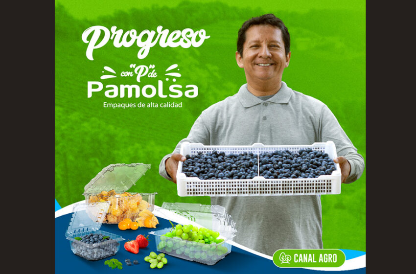  Pamolsa lanza emotiva campaña publicitaria “PERÚ CON P DE PAMOLSA”