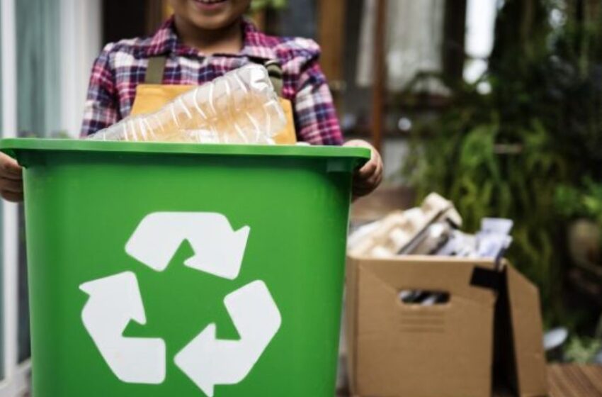  Acciones para cuidar el medio ambiente desde la escuela en este regreso a clases.