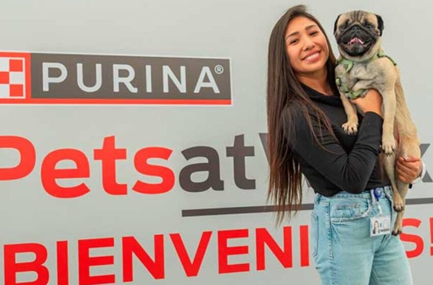  Nestlé ofrece nuevo paquete de beneficios «Pet friendly» para sus colaboradores