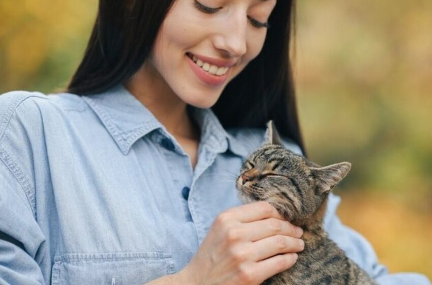  Descubre cómo mejorar la digestión de tu gato y mantenerlo saludable 