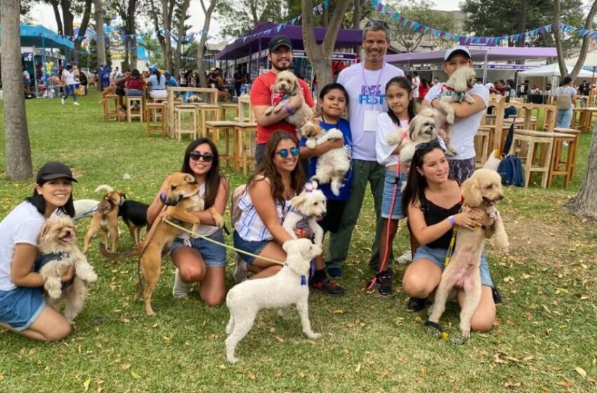  Mes de la mascota: Participa de la caminata petfriendly “Los Animales Me Importan” totalmente gratis