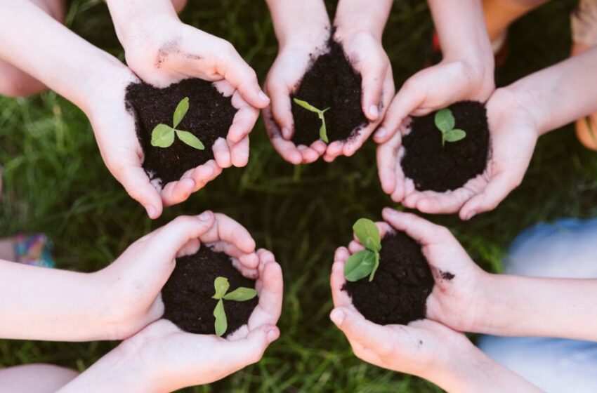  Cinco razones por las que se necesita la educación ambiental en los jóvenes