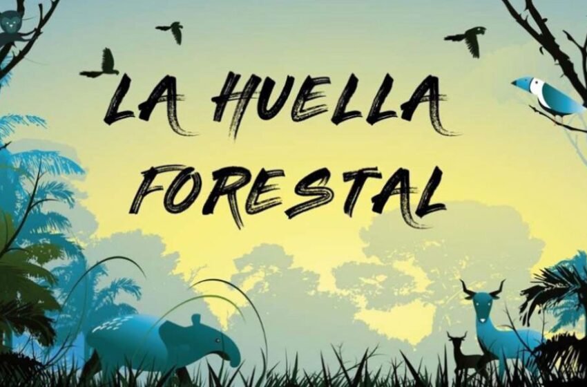  Lanzamiento de la Huella Forestal Peruana