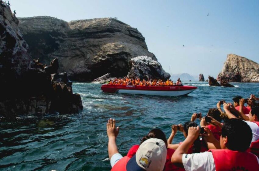  Turismo en Paracas: la Reserva Natural es el segundo destino más visitado del Perú