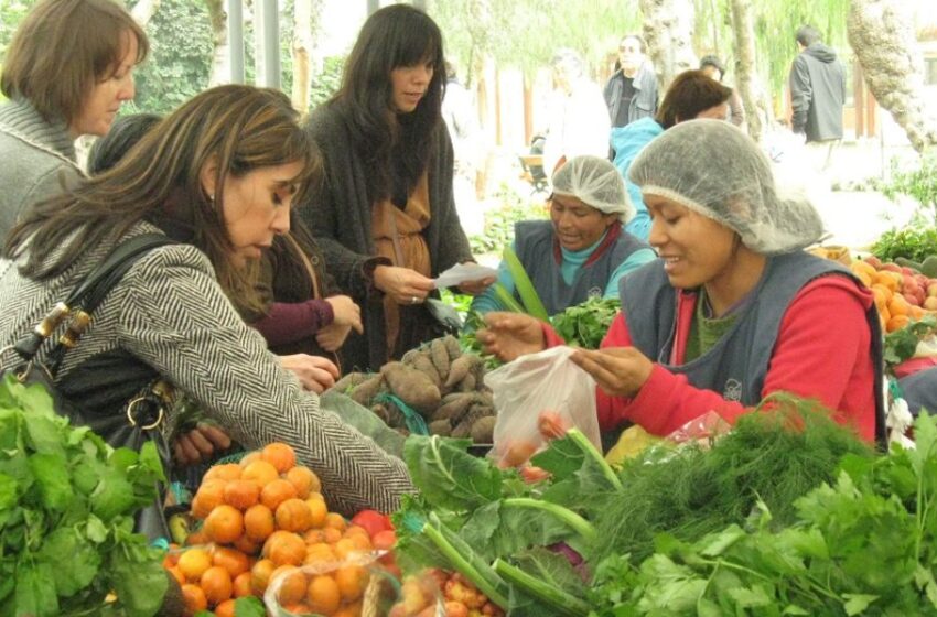  Del 13 al 15 de diciembre se realizará KuskaFest, festival que promueve la alimentación saludable, la agroecología y el cuidado del medio ambiente