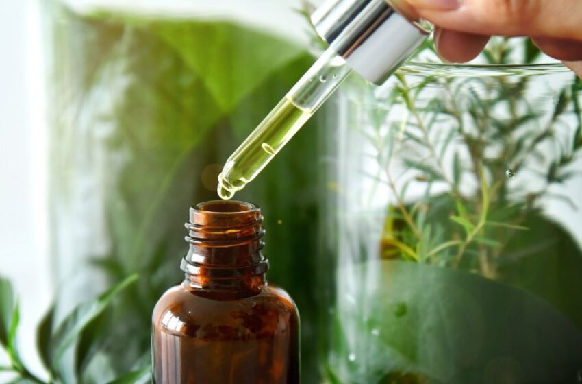  L’oréal y Cosmo International Fragrances utiliza las ciencias verdes para liberar el poder olfativo de los ingredientes naturales