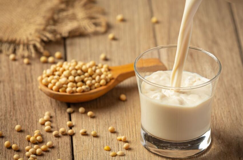  ¿Cómo consumir la proteína de soya en el día a día?