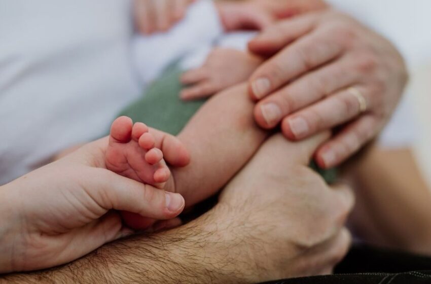  Hemofilia en niños: una realidad invisible que requiere nuestra atención