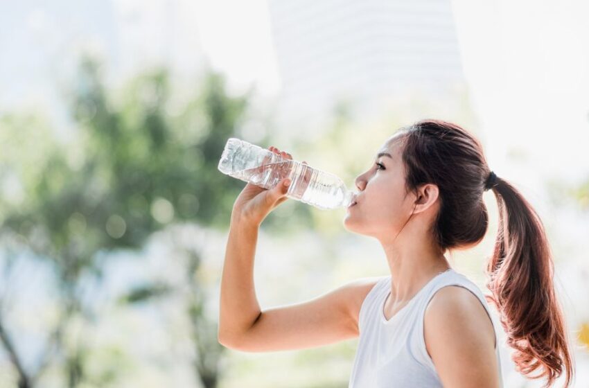  Disfruta de un Verano Saludable: Magnesio y Zinc