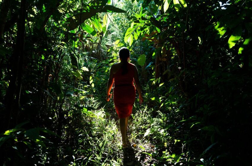  Día de la Mujer: Conoce a las mujeres indígenas que fortalecen su liderazgo en la Amazonía peruana