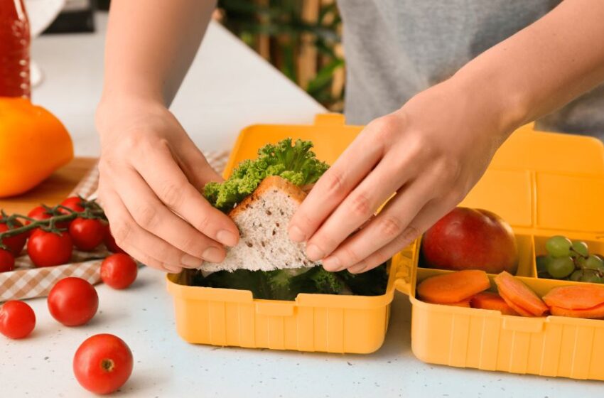  Lonchera completa: dos recetas rápidas, balanceadas y económicas para este regreso a clases