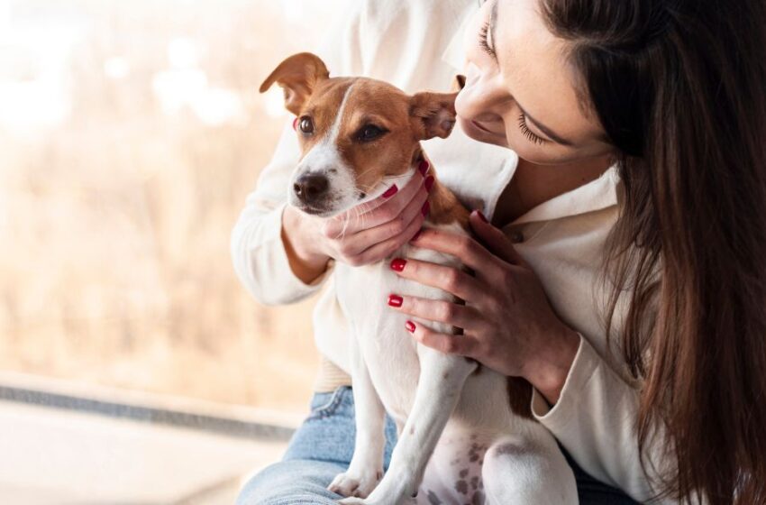  ¿El alimento de tu mascota es de «calidad»? Aprende cómo identificarlo aquí