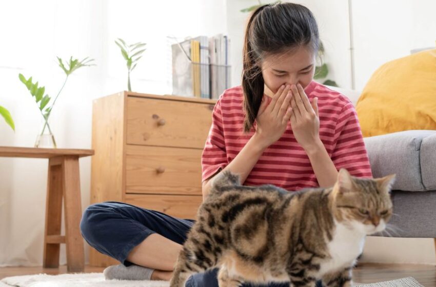  ¿Puedo tener una mascota si tengo asma?